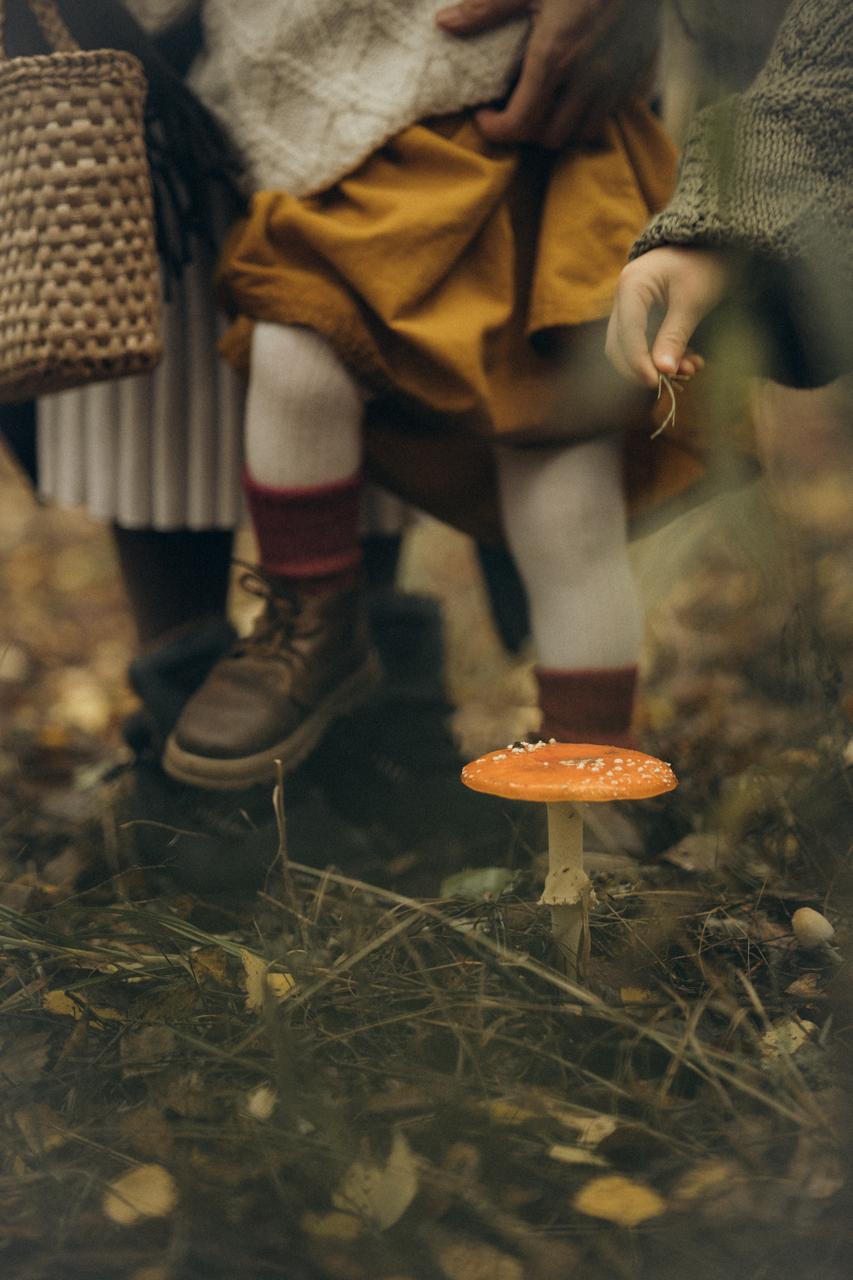 Портфоліо 8